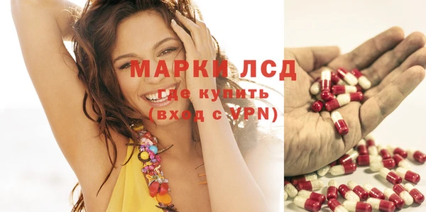 шишки Белокуриха
