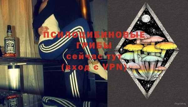 шишки Белокуриха