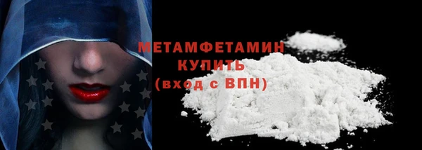 шишки Белокуриха