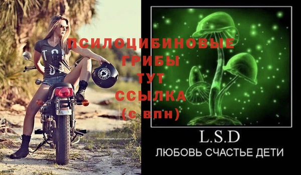 шишки Белокуриха