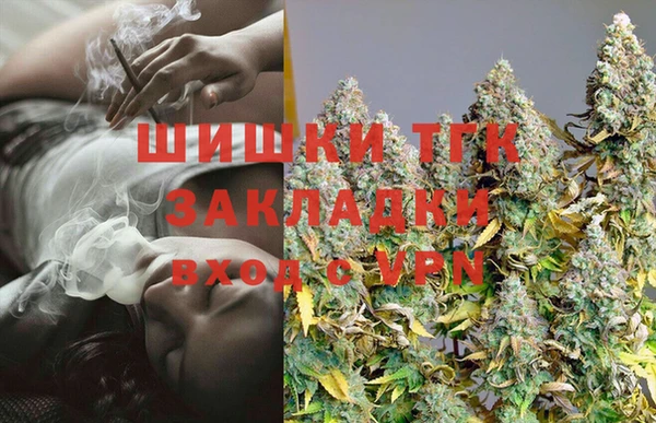 шишки Белокуриха