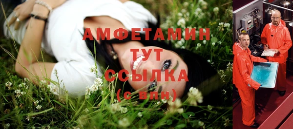 шишки Белокуриха