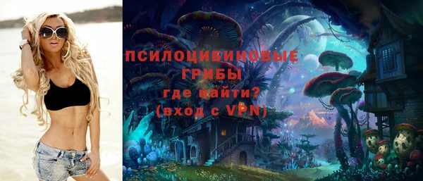 шишки Белокуриха