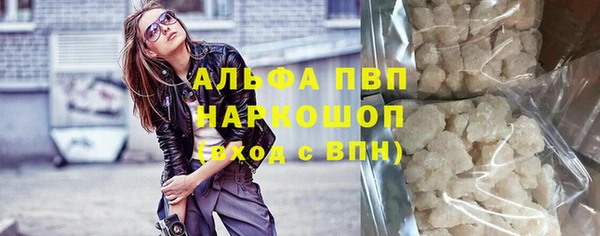 шишки Белокуриха