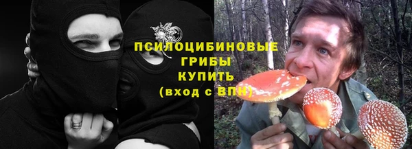 каннабис Беломорск