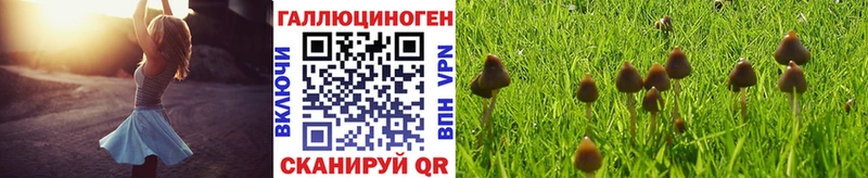 Галлюциногенные грибы мицелий  blacksprut как войти  Шацк 